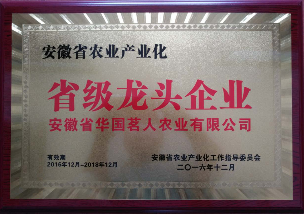 ʡ�����^��I